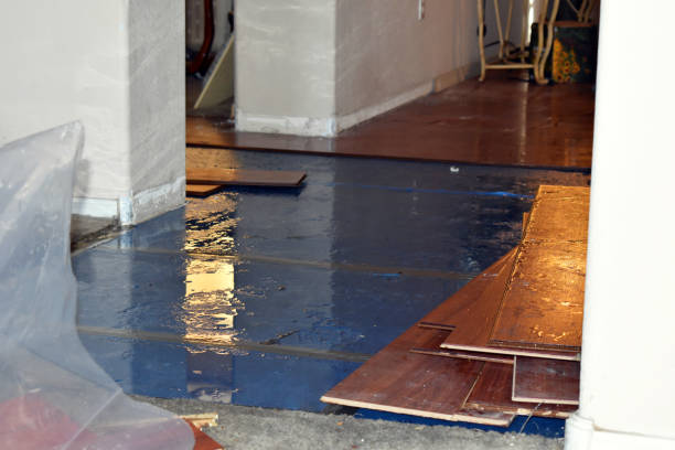 Professional Crawl Space Water Removal technician working in Monhegan, ME